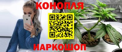 эйфоретик Краснодар