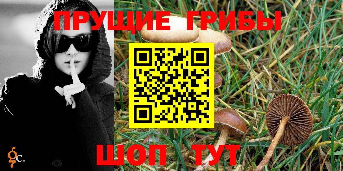 Ипатово  Галлюциногенные грибы MAGIC MUSHROOMS  Вход с VPN 